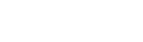 Leela AI logo