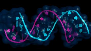 RNA vaccine