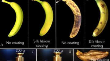 Cambridge Crops silk coating